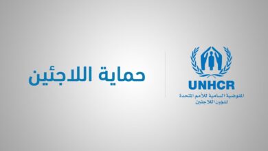 المفوضية السامية الأمم المتحدة لشؤون اللاجئين وحماية اللاجئين